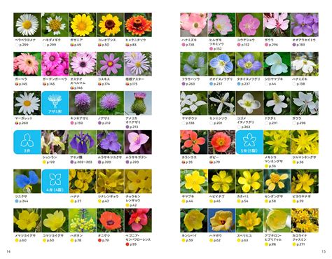 花 種類|Web・デジタル花図鑑、花の名前・花色・花の形で調べる。